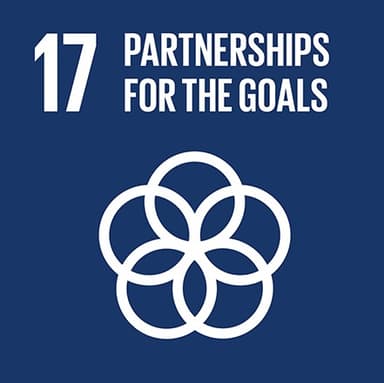 SDG 9