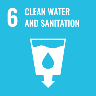 SDG 3